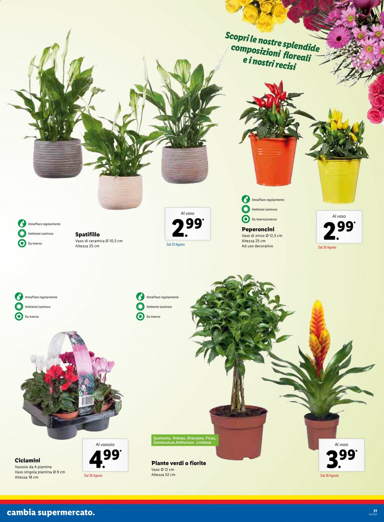 Volantino Lidl - 23/8/2021 - 29/8/2021. Pagina 31