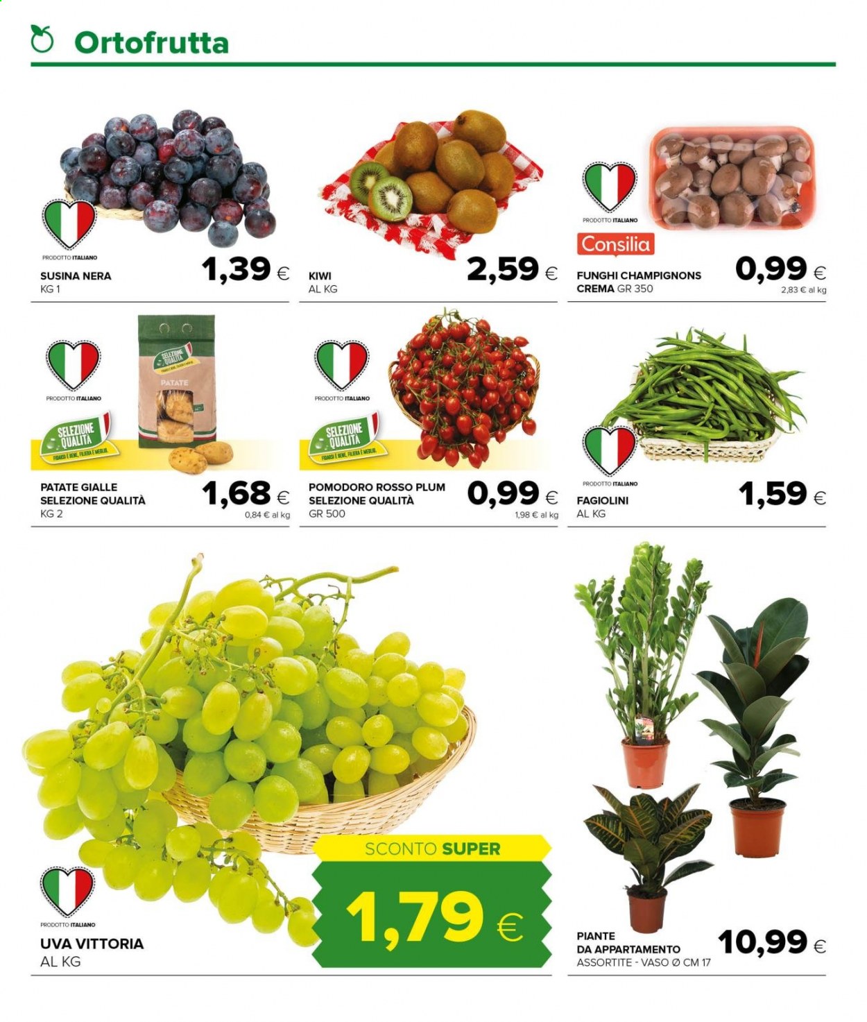 Volantino Oasi - 2/9/2021 - 15/9/2021. Pagina 14