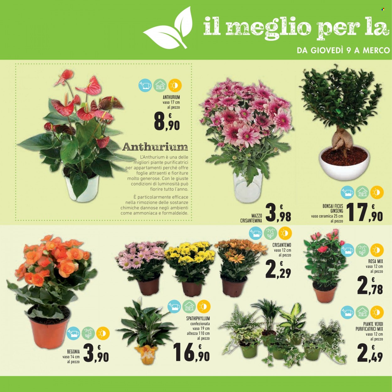Volantino Conad - 9/9/2021 - 22/9/2021. Pagina 8