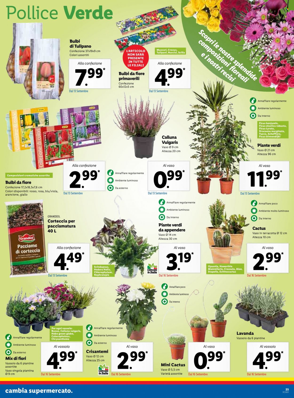 Volantino Lidl - 13/9/2021 - 19/9/2021. Pagina 25