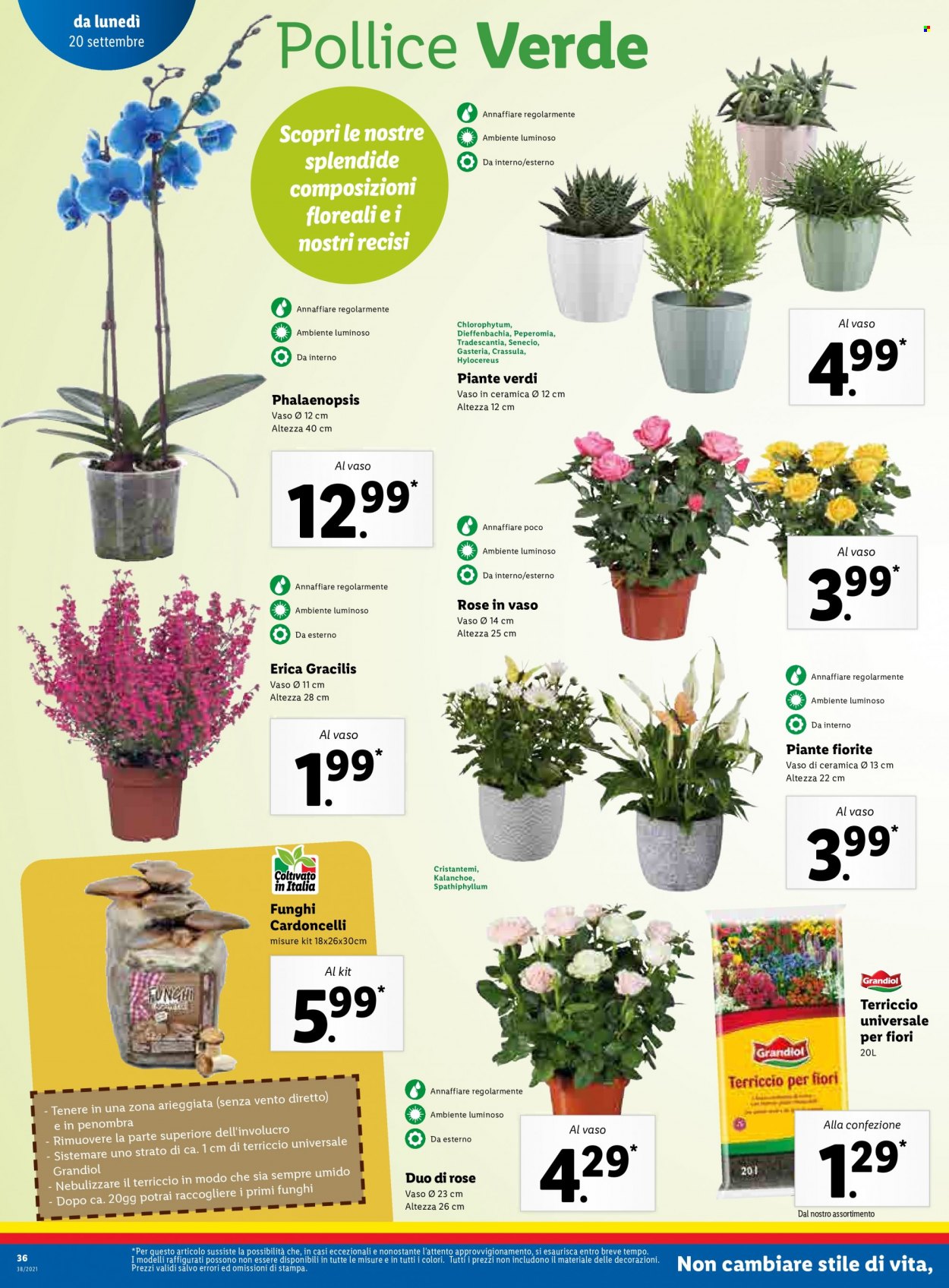 Volantino Lidl - 20/9/2021 - 26/9/2021. Pagina 36