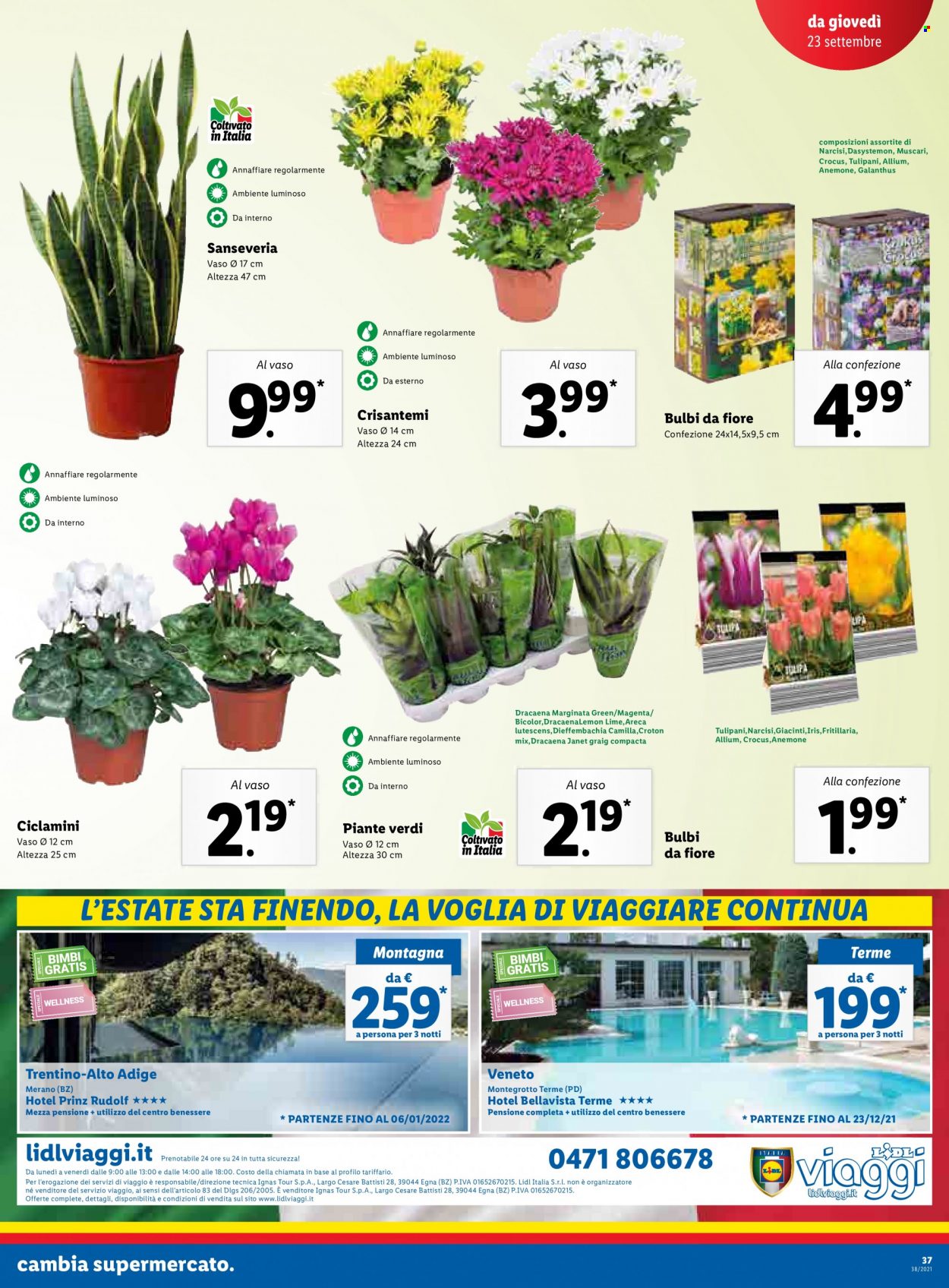 Volantino Lidl - 20/9/2021 - 26/9/2021. Pagina 37