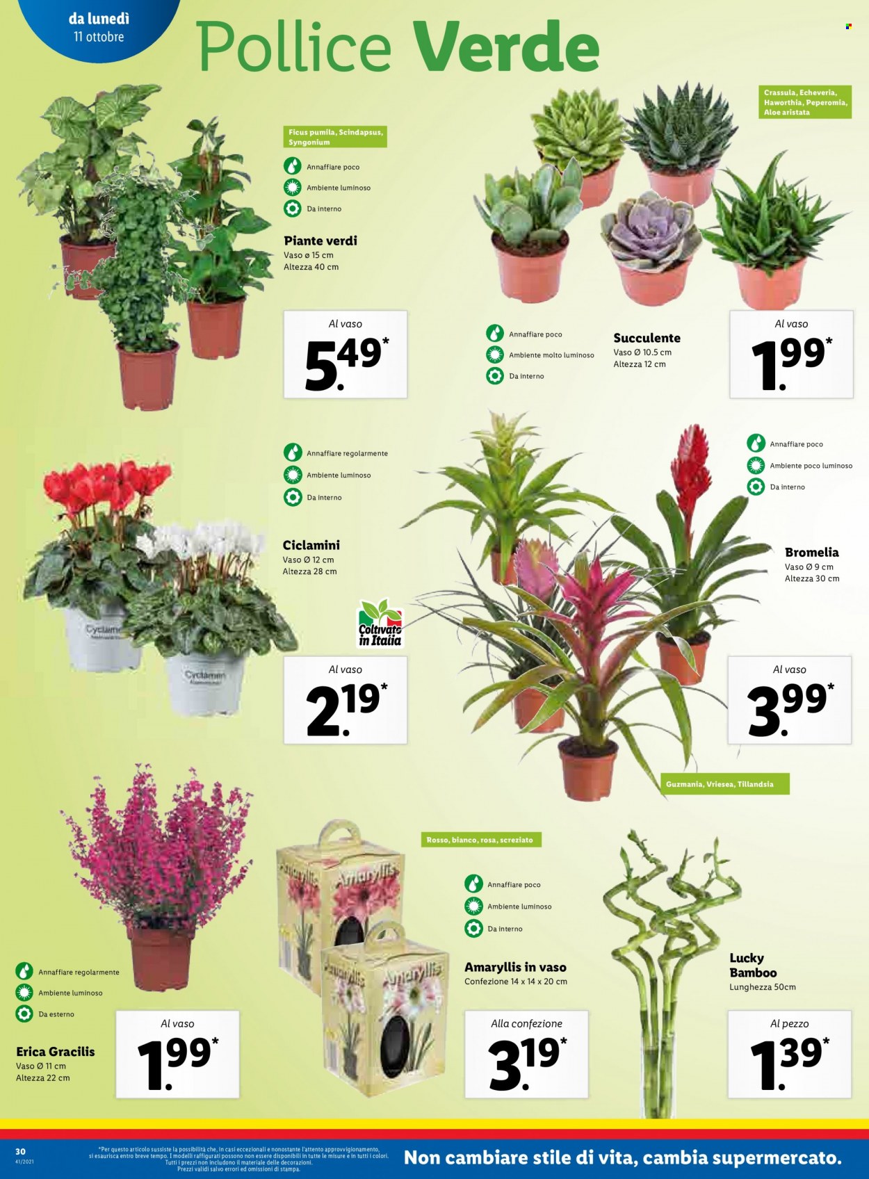 Volantino Lidl - 11/10/2021 - 17/10/2021. Pagina 30