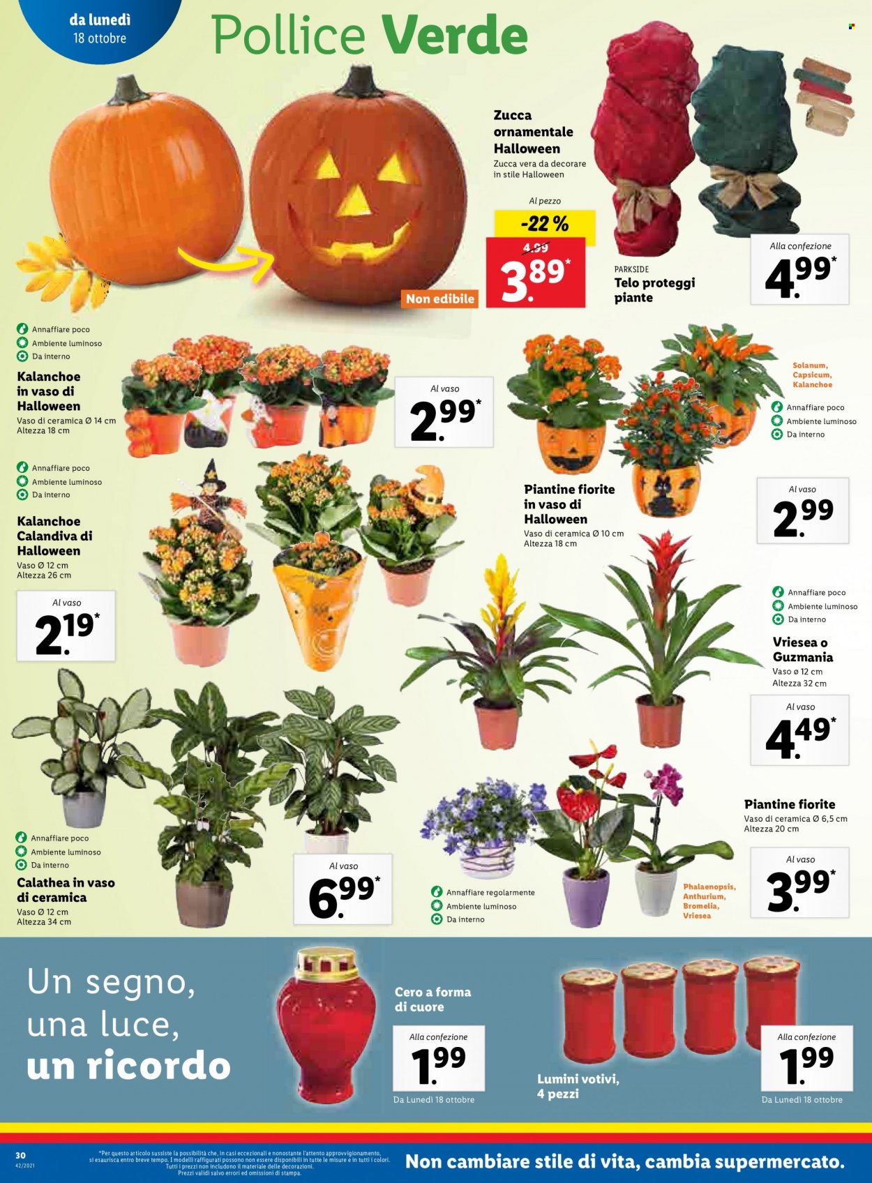 Volantino Lidl - 18/10/2021 - 24/10/2021. Pagina 30
