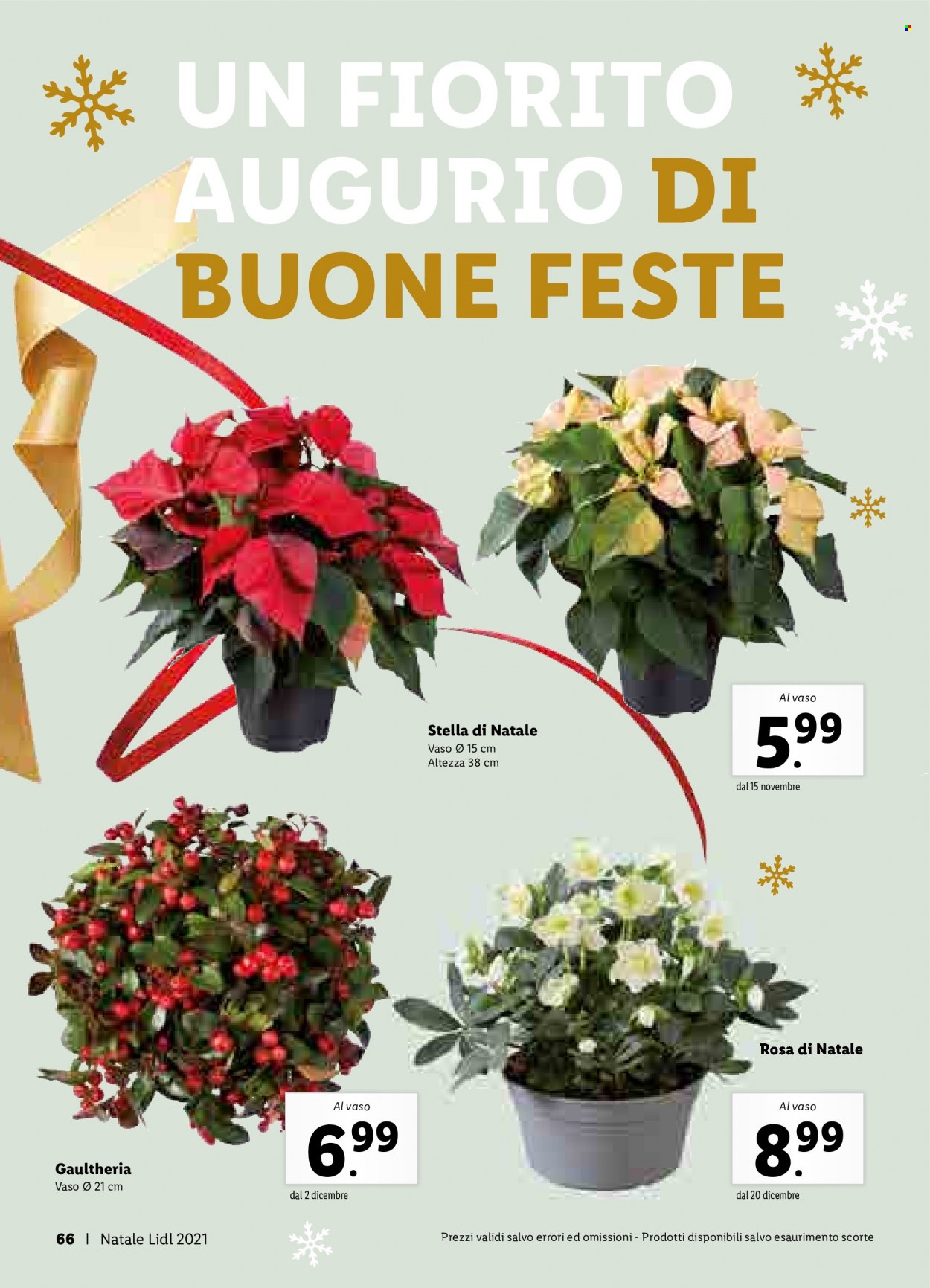 Volantino Lidl. Pagina 66