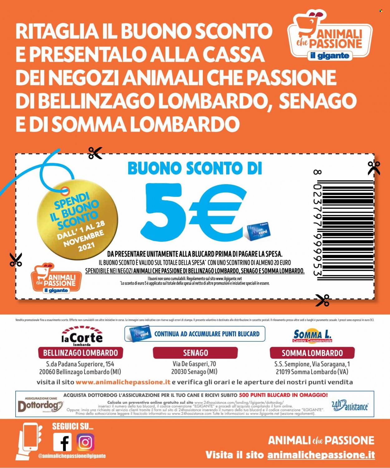 Volantino Il Gigante - 1/11/2021 - 28/11/2021. Pagina 8