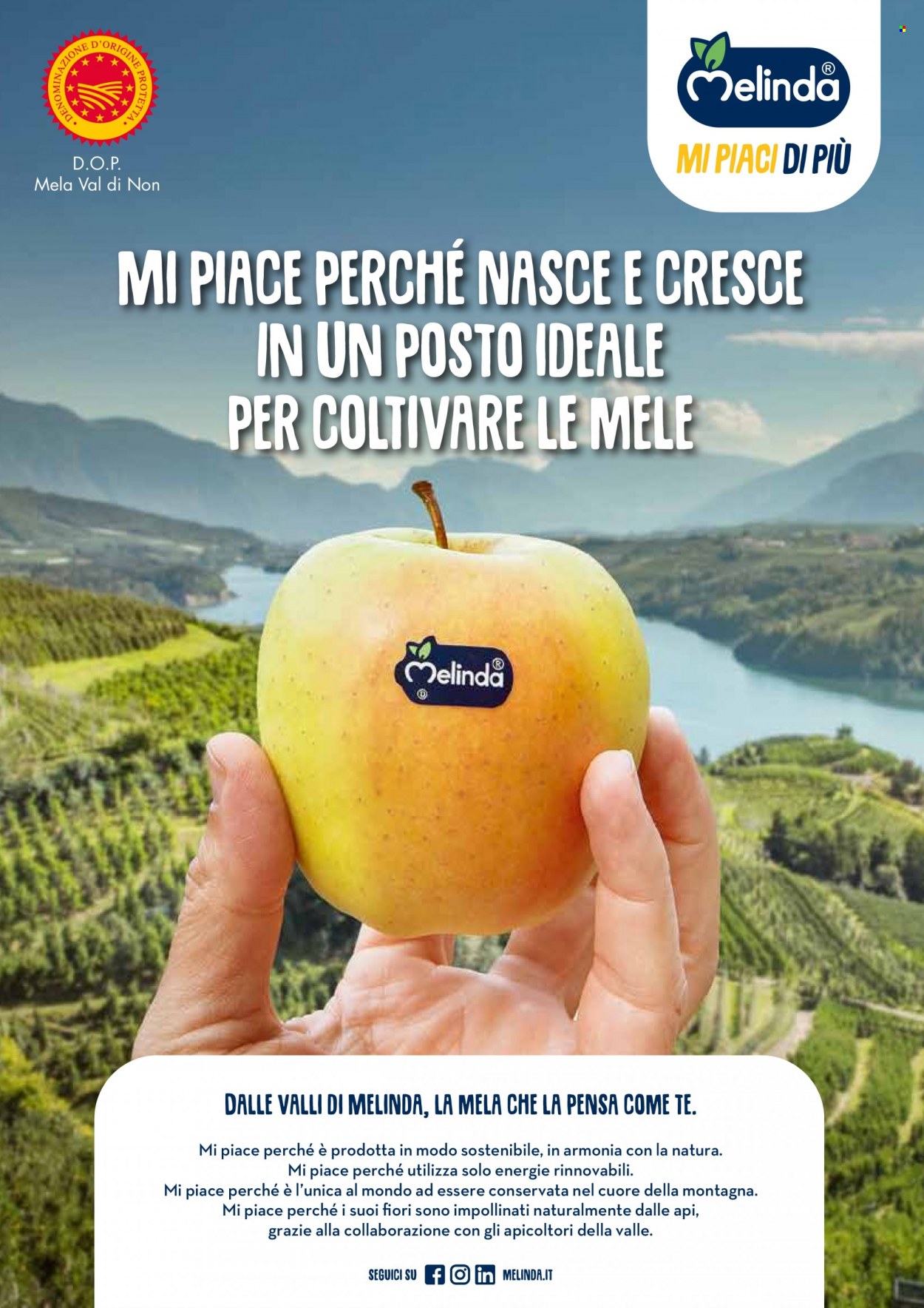 Volantino Coop - 25/11/2021 - 24/12/2021. Pagina 41