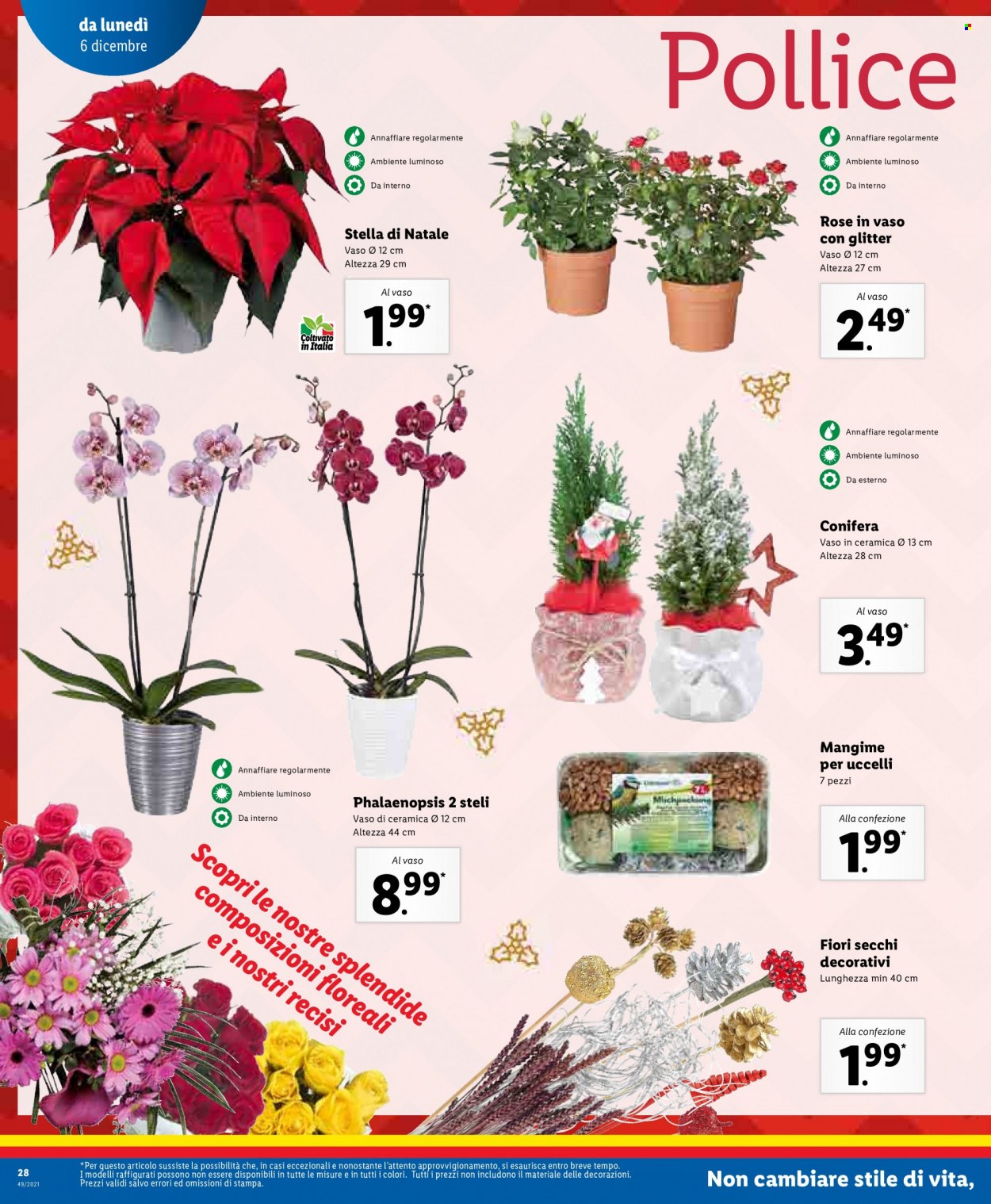 Volantino Lidl - 6/12/2021 - 12/12/2021. Pagina 28