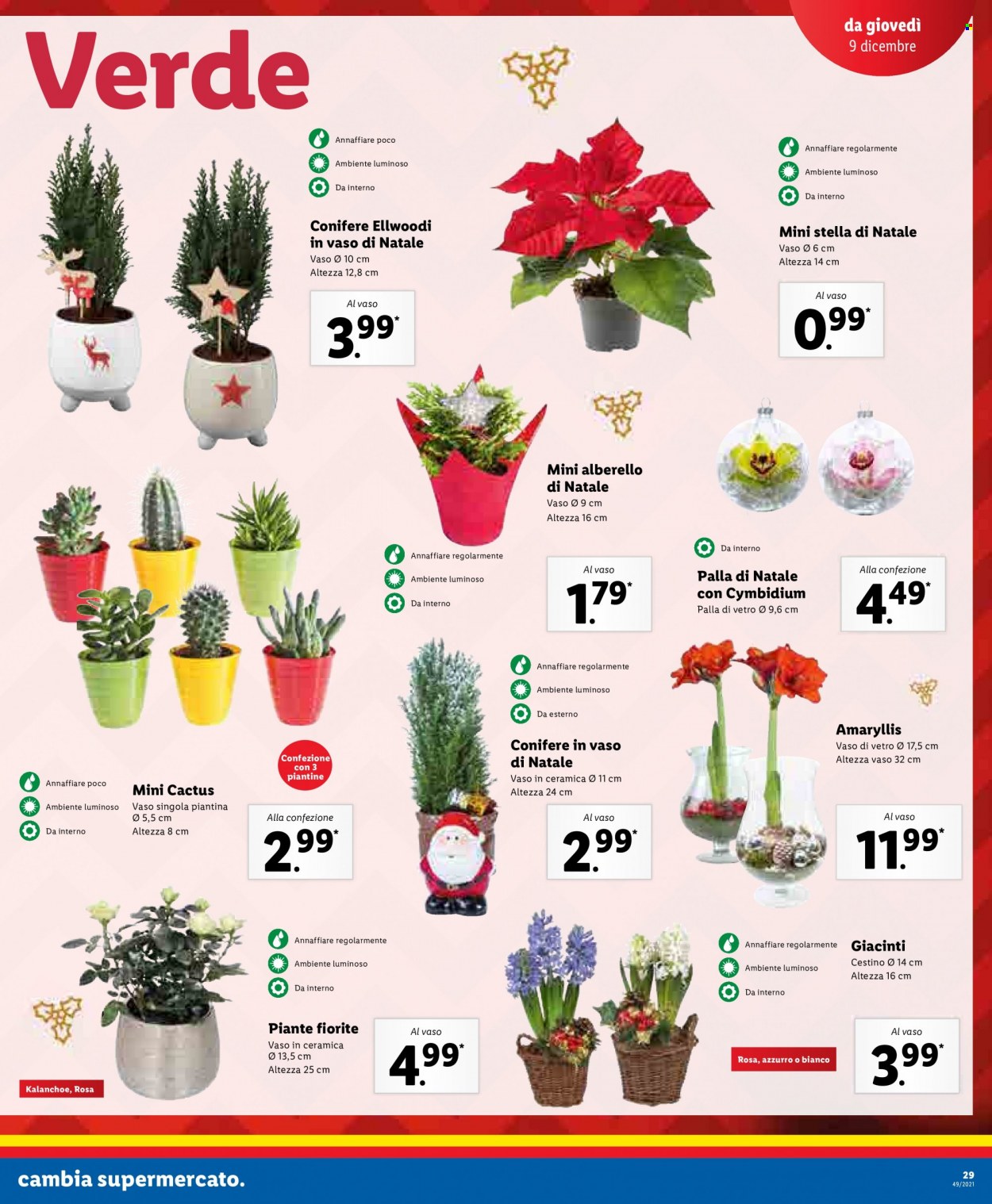 Volantino Lidl - 6/12/2021 - 12/12/2021. Pagina 29