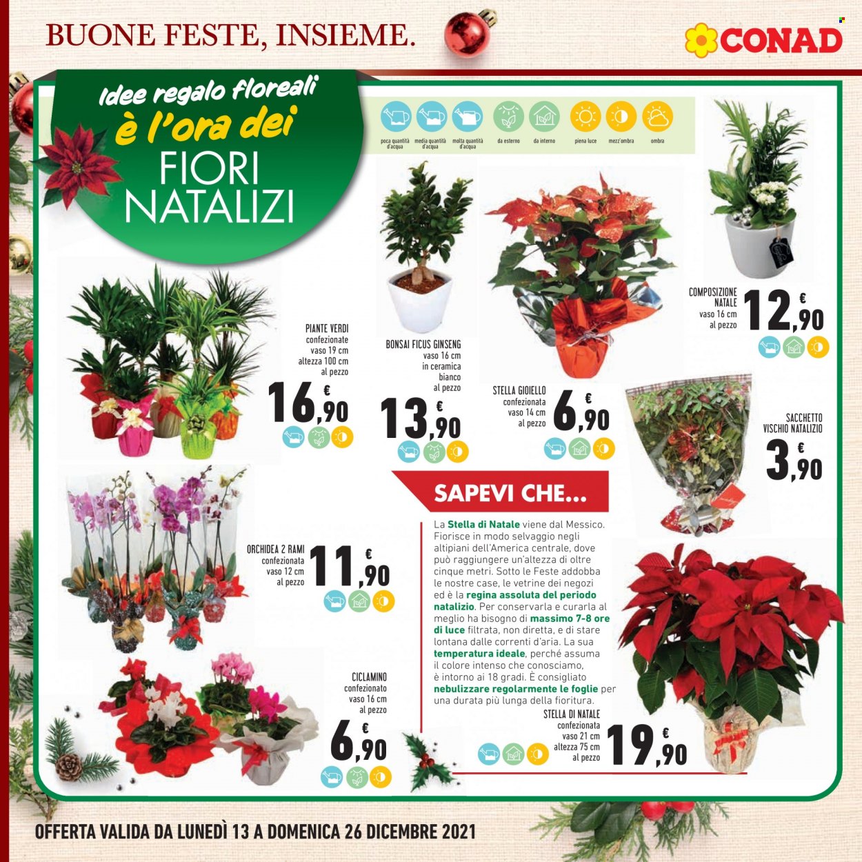 Volantino Conad - 13/12/2021 - 26/12/2021. Pagina 6