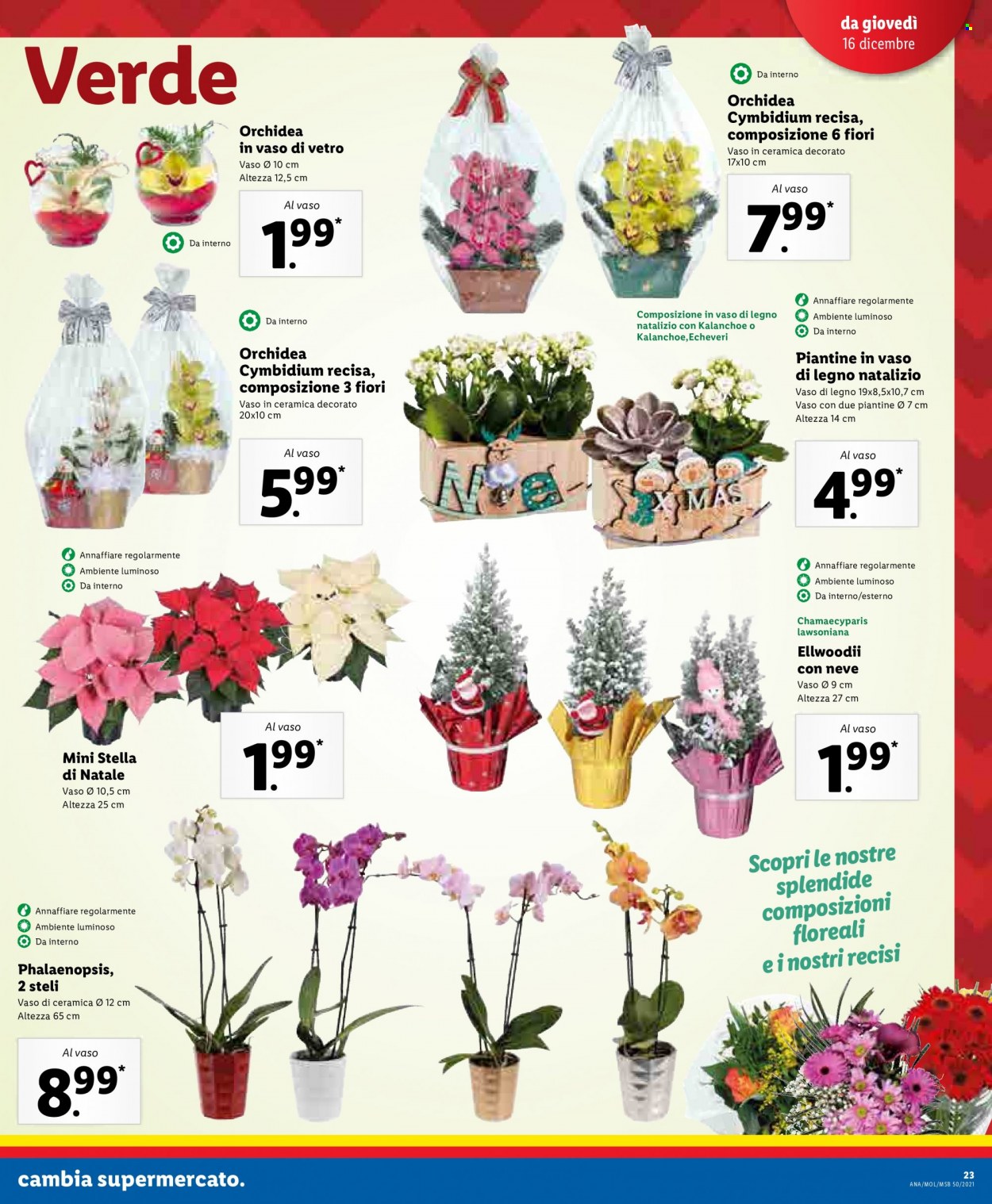 Volantino Lidl - 13/12/2021 - 19/12/2021. Pagina 21