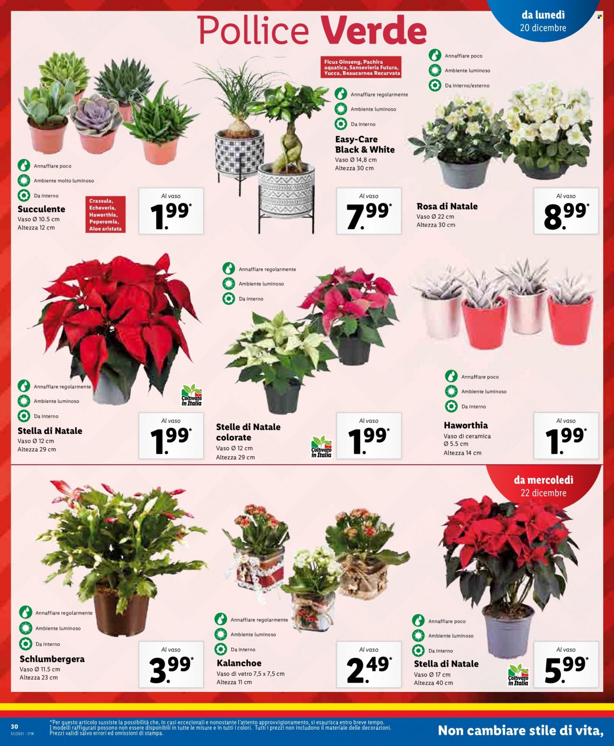 Volantino Lidl - 20/12/2021 - 24/12/2021. Pagina 30
