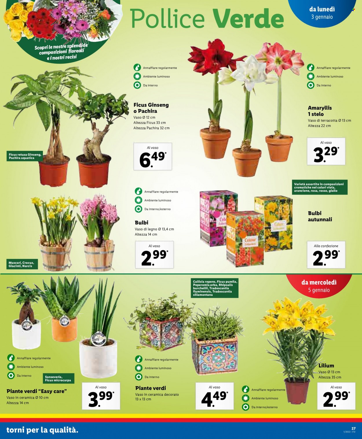 Volantino Lidl - 3/1/2022 - 9/1/2022. Pagina 27
