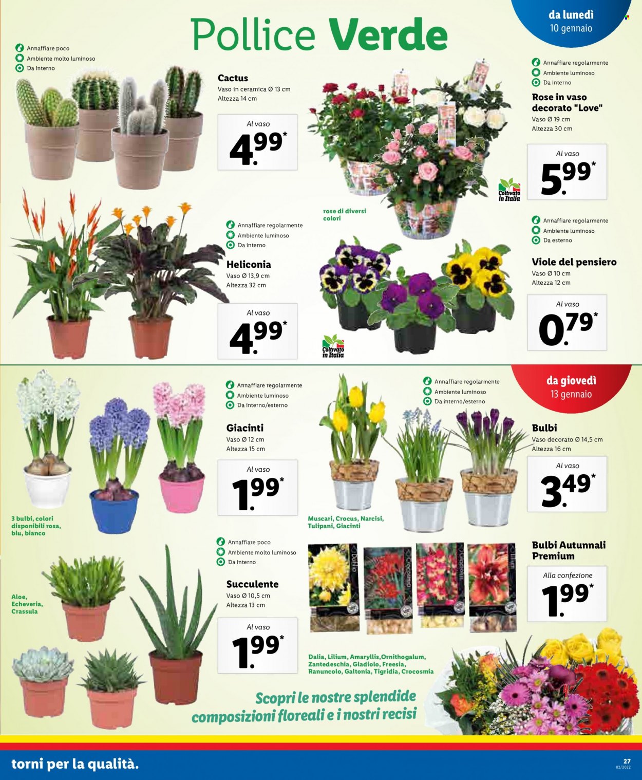 Volantino Lidl - 10/1/2022 - 16/1/2022. Pagina 27