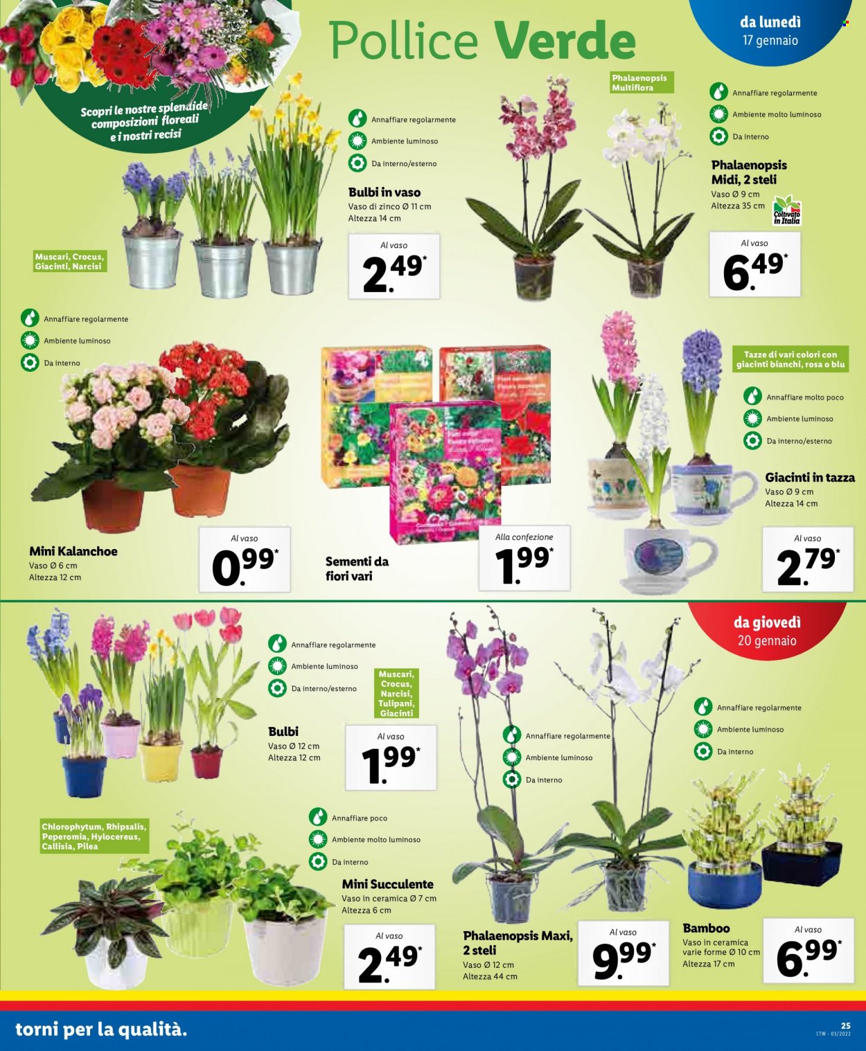 Volantino Lidl - 17/1/2022 - 23/1/2022. Pagina 25