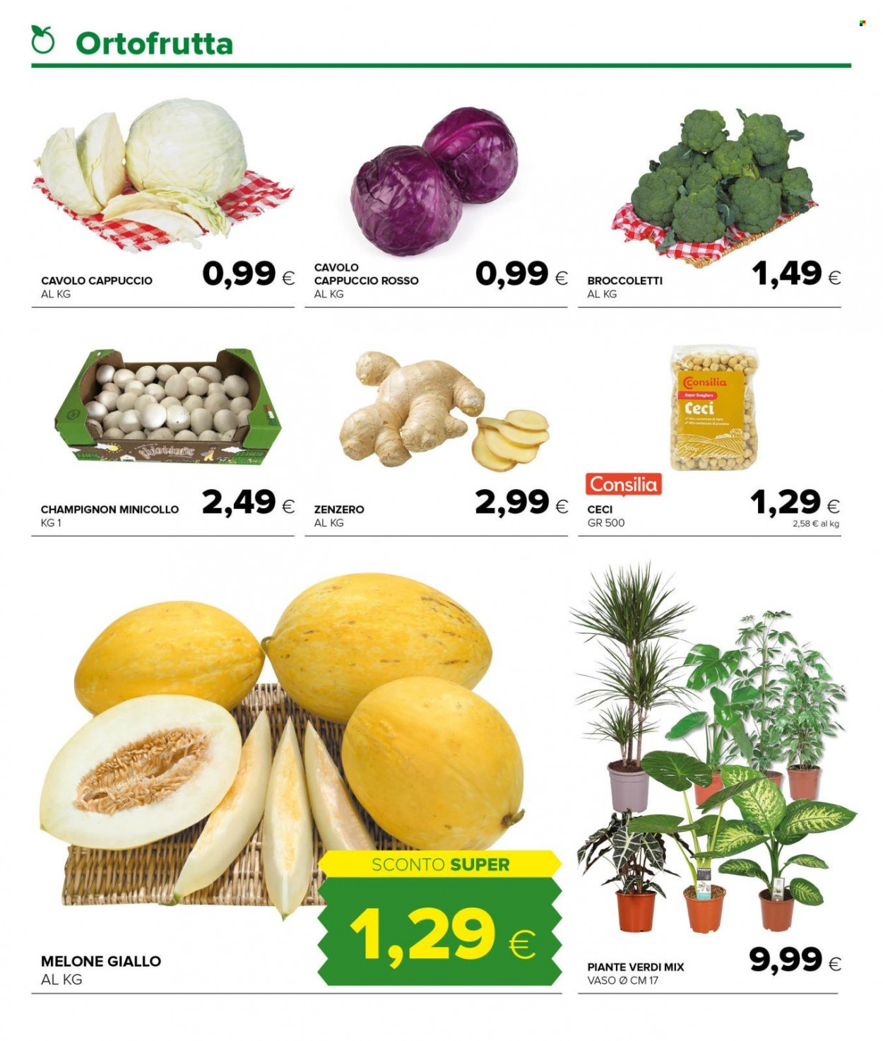 Volantino Oasi - 20/1/2022 - 2/2/2022. Pagina 2