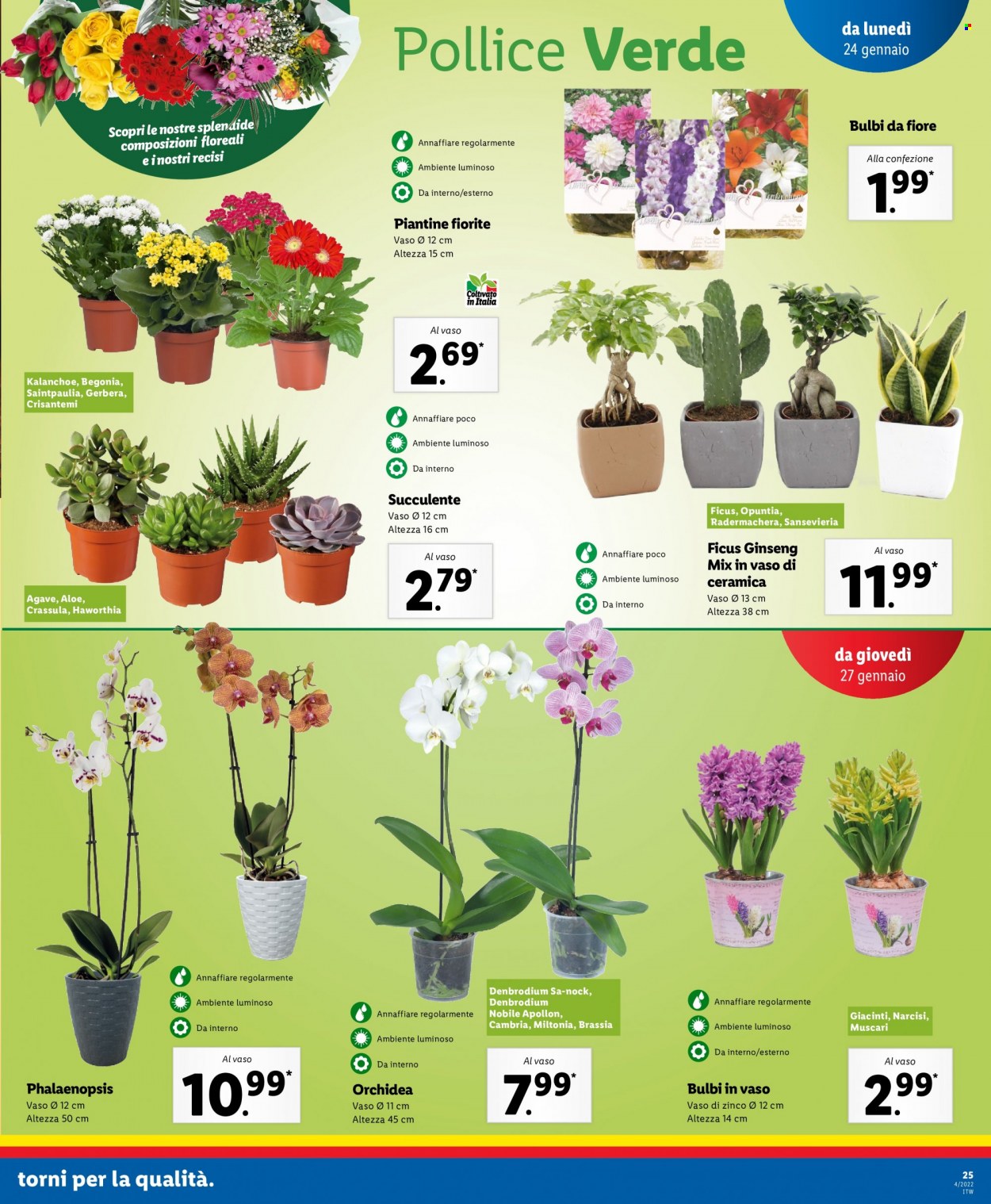 Volantino Lidl - 24/1/2022 - 30/1/2022. Pagina 25