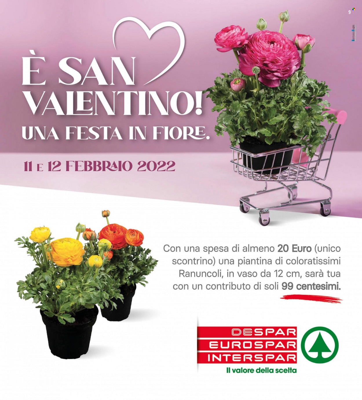 Volantino Interspar - 7/2/2022 - 17/2/2022. Pagina 9