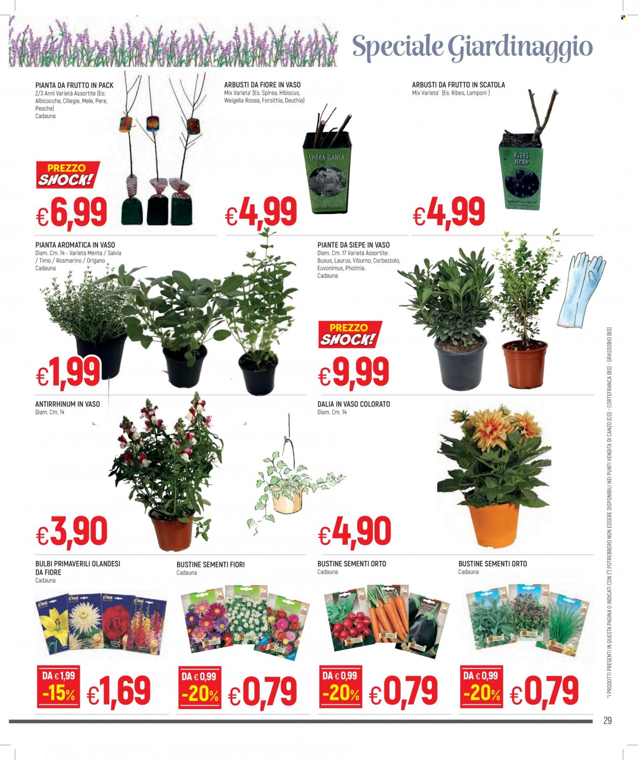 Volantino Famila - 24/2/2022 - 9/3/2022. Pagina 29