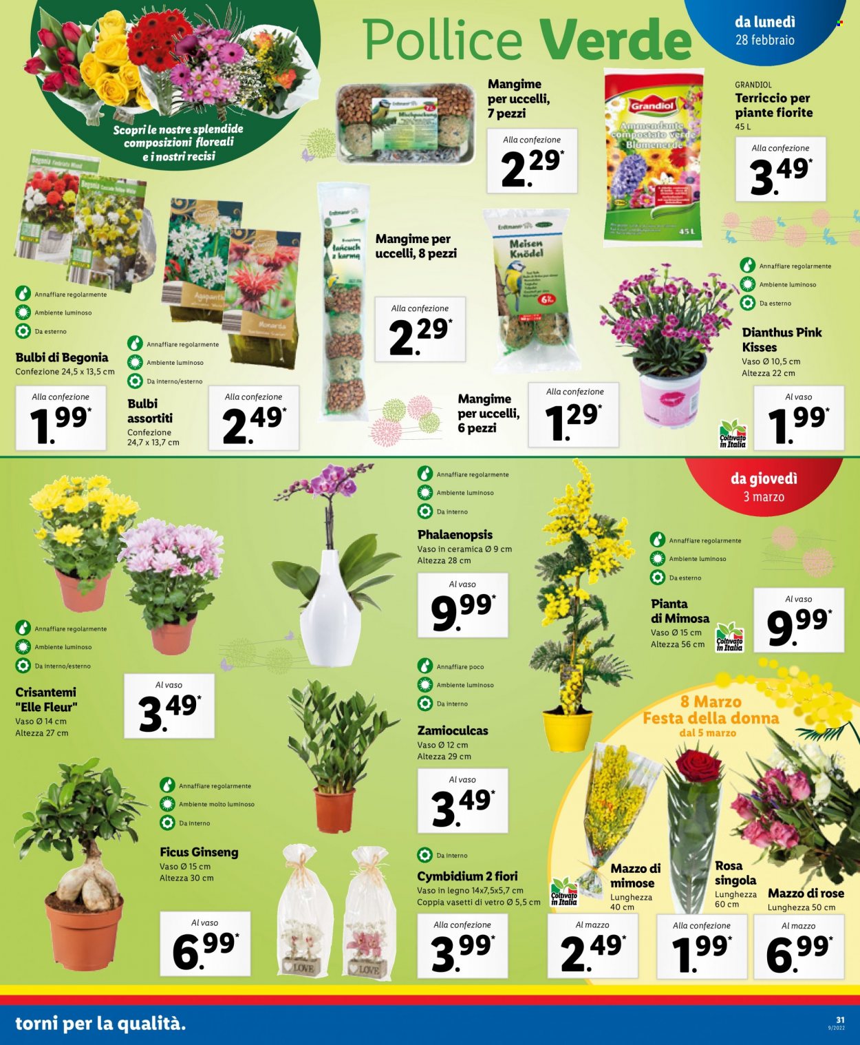 Volantino Lidl - 28/2/2022 - 6/3/2022. Pagina 31