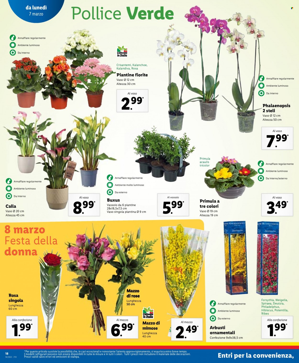Volantino Lidl - 7/3/2022 - 13/3/2022. Pagina 18