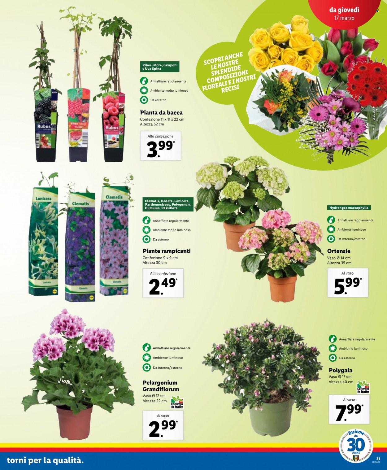 Volantino Lidl - 14/3/2022 - 20/3/2022. Pagina 31