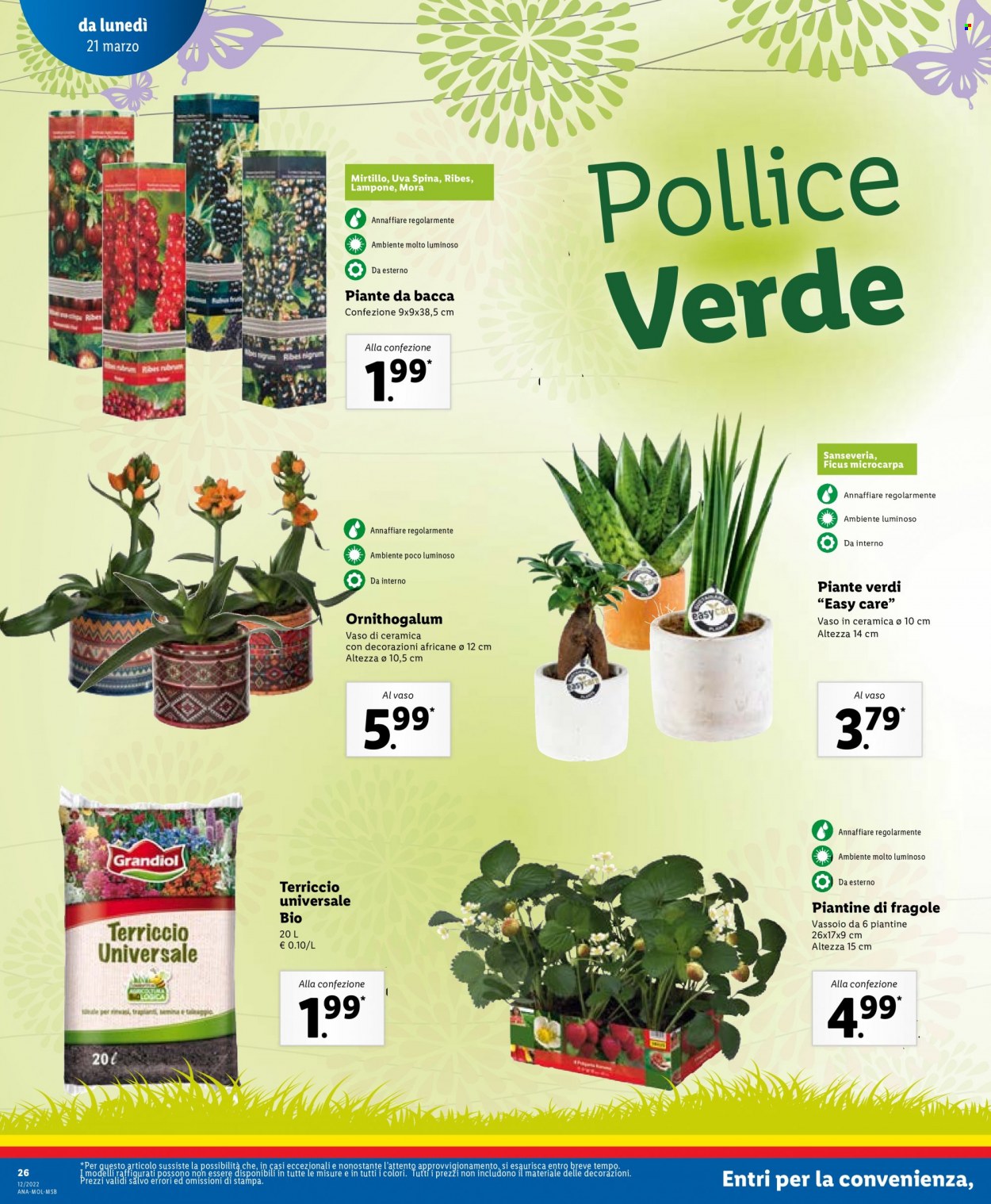 Volantino Lidl - 21/3/2022 - 27/3/2022. Pagina 26