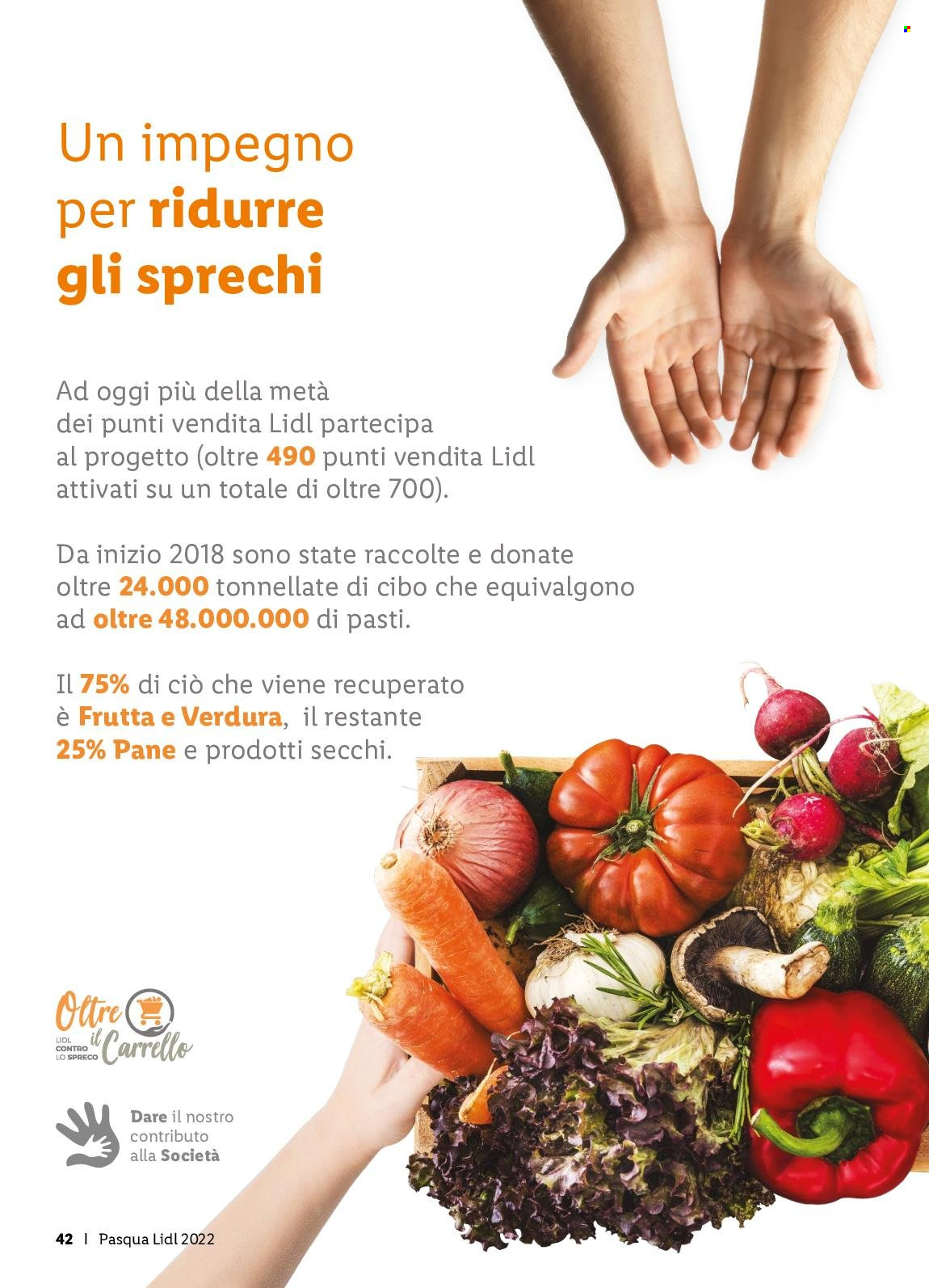 Volantino Lidl. Pagina 42
