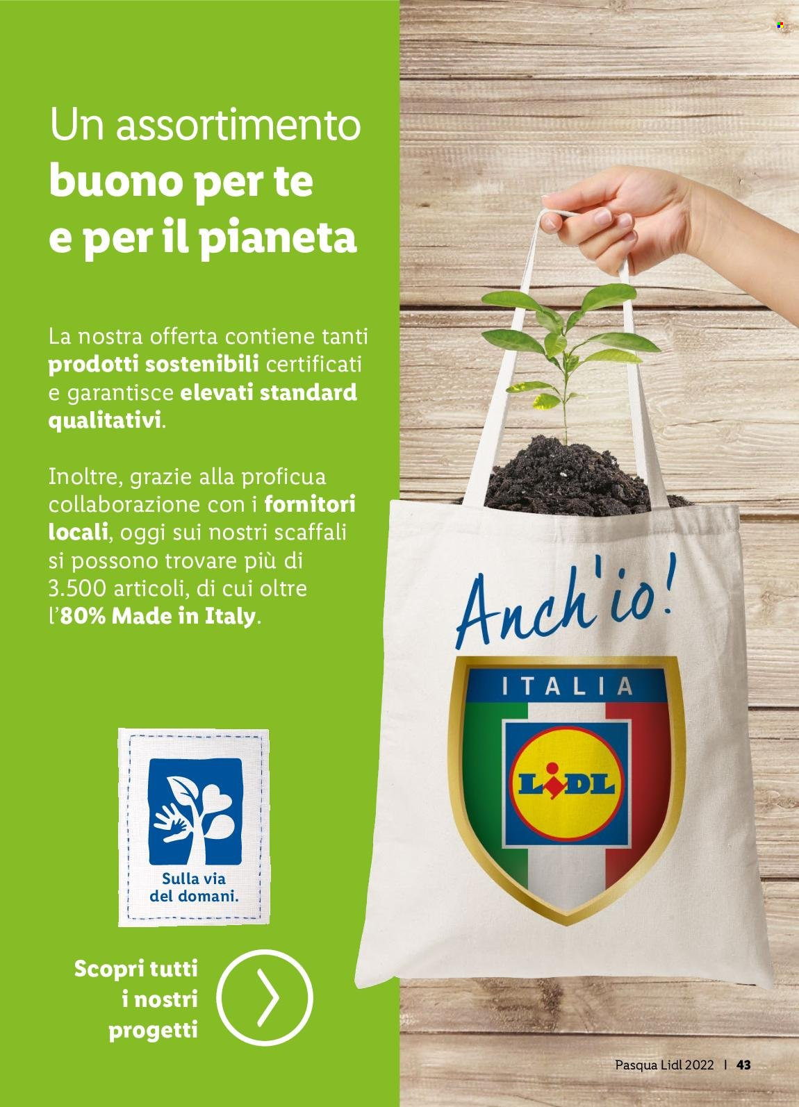 Volantino Lidl. Pagina 43