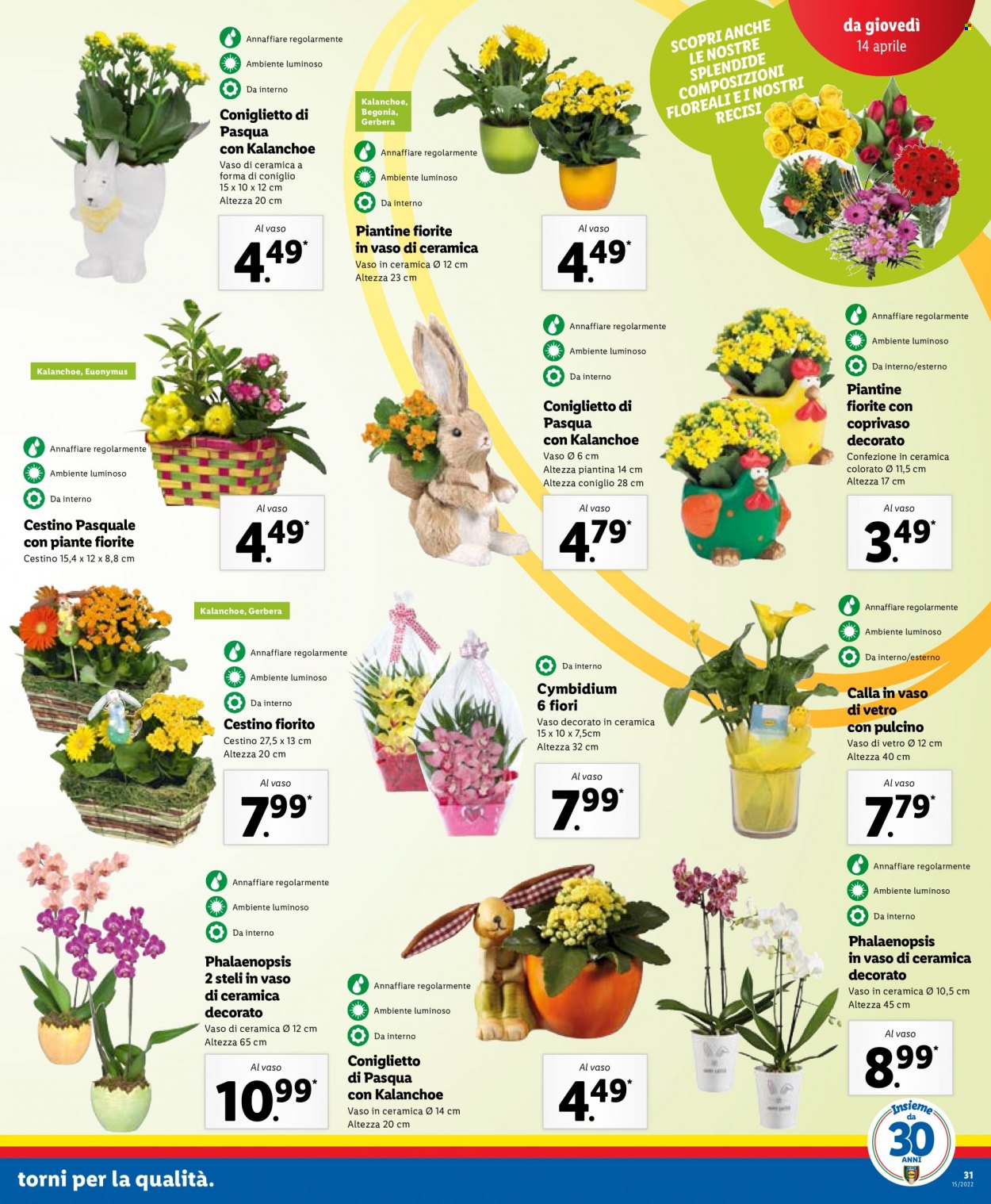 Volantino Lidl - 11/4/2022 - 16/4/2022. Pagina 31