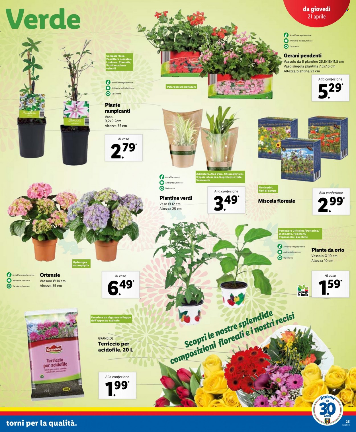 Volantino Lidl - 18/4/2022 - 24/4/2022. Pagina 25