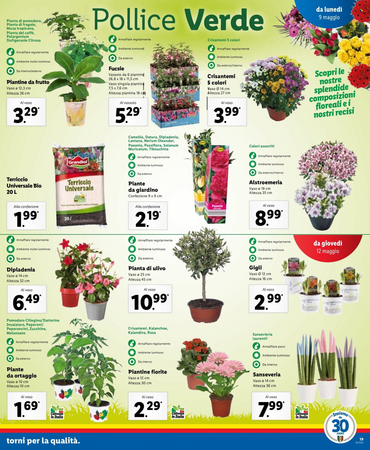 Volantino Lidl - 5/5/2022 - 15/5/2022. Pagina 19