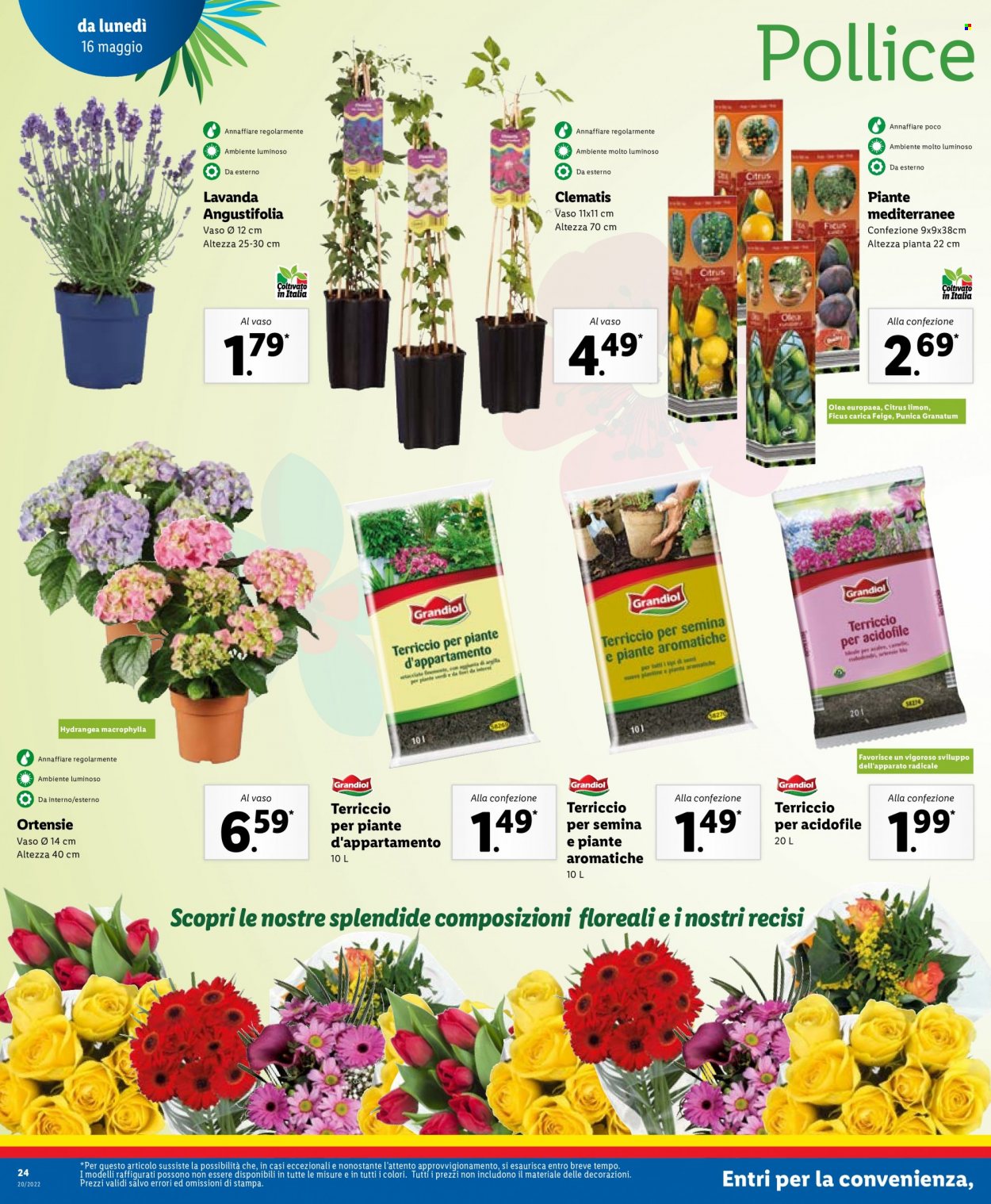 Volantino Lidl - 16/5/2022 - 22/5/2022. Pagina 24