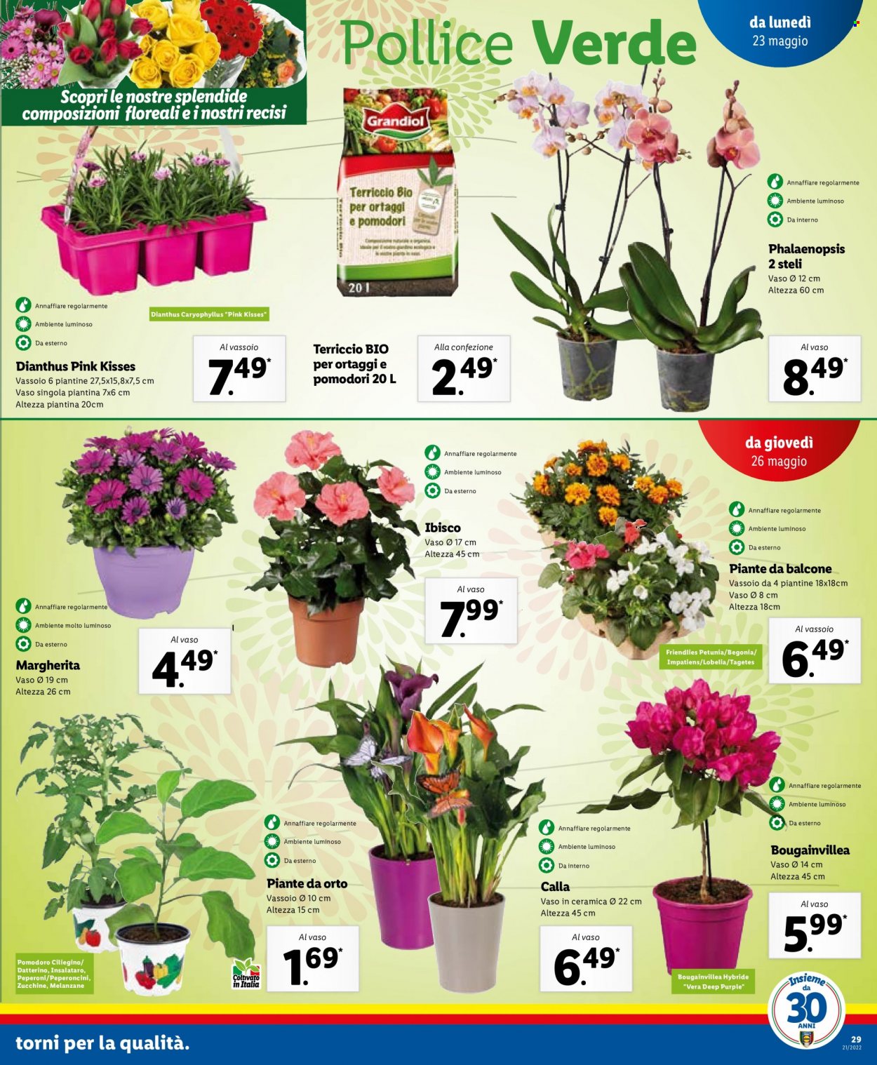 Volantino Lidl - 23/5/2022 - 29/5/2022. Pagina 29