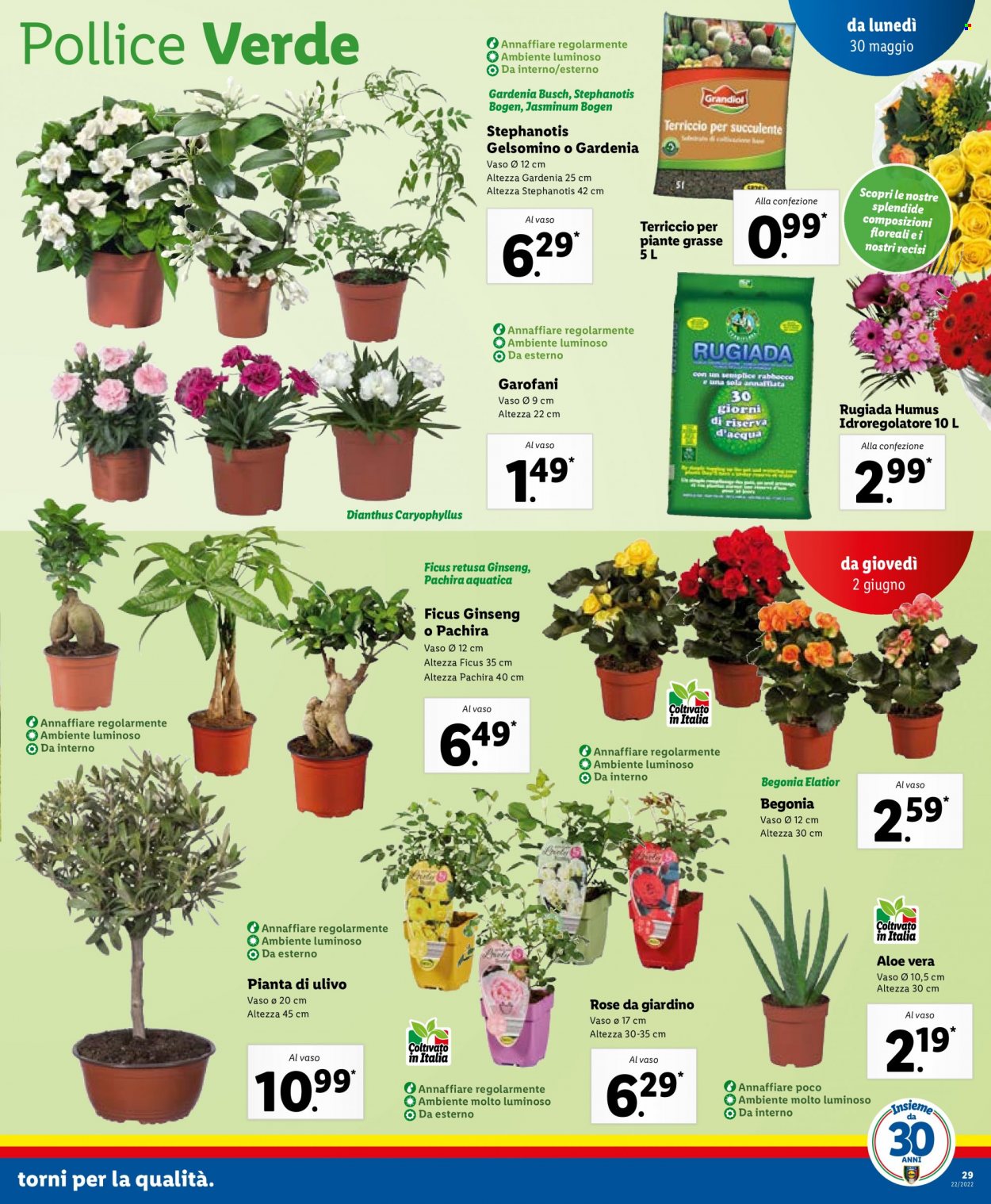 Volantino Lidl - 30/5/2022 - 5/6/2022. Pagina 29