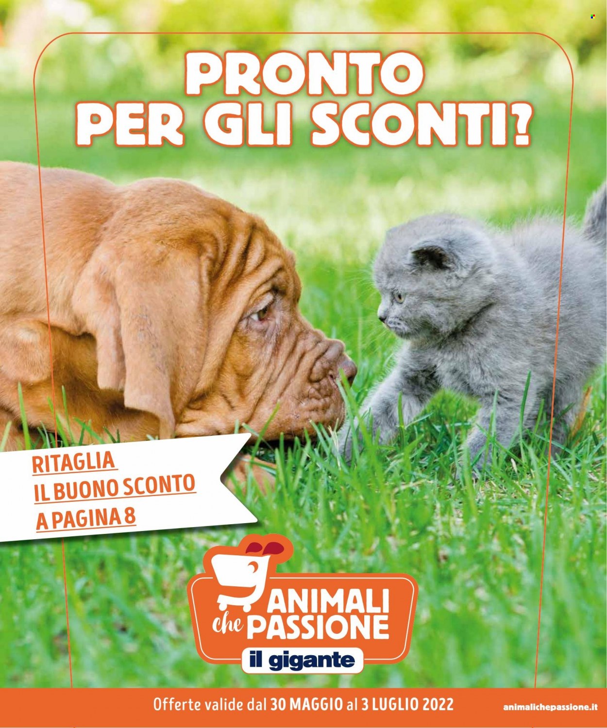 Volantino Il Gigante - 30/5/2022 - 3/7/2022. Pagina 1
