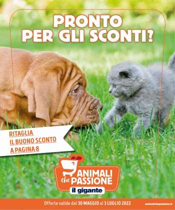 Volantino Il Gigante - 30/5/2022 - 3/7/2022.