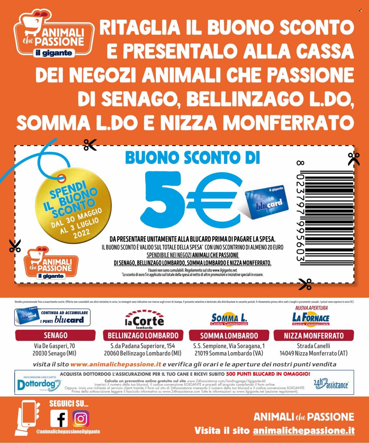 Volantino Il Gigante - 30/5/2022 - 3/7/2022. Pagina 8