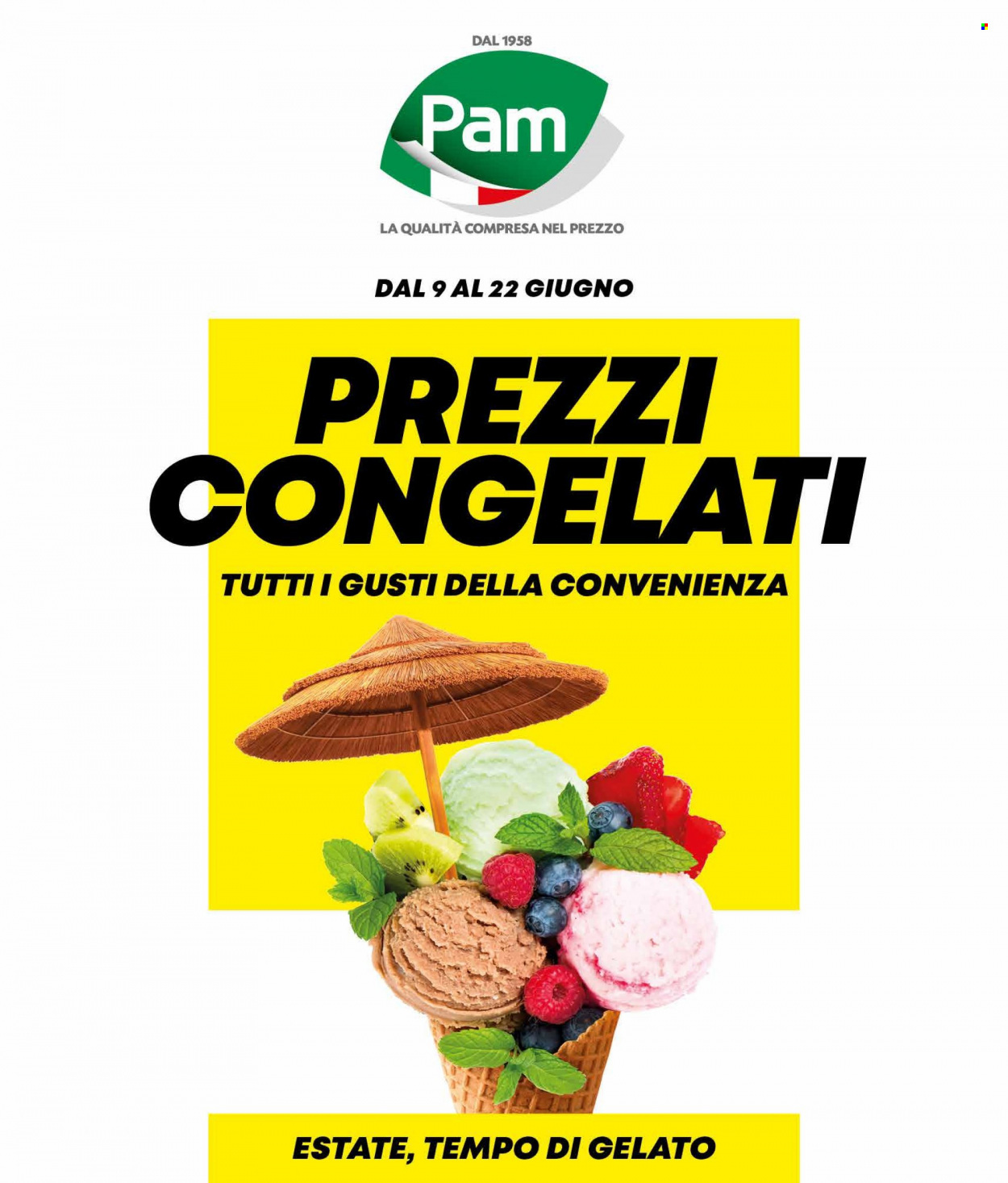 Volantino Pam Panorama - 9/6/2022 - 22/6/2022. Pagina 1