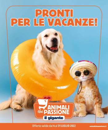 Volantino Il Gigante - 4/7/2022 - 31/7/2022.