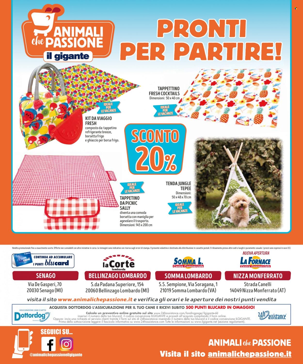 Volantino Il Gigante - 4/7/2022 - 31/7/2022. Pagina 8