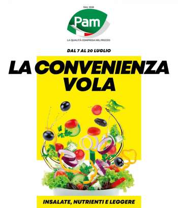 Volantino Pam Panorama - 7/7/2022 - 20/7/2022.