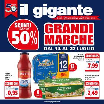Volantino Il Gigante - 14/7/2022 - 27/7/2022.