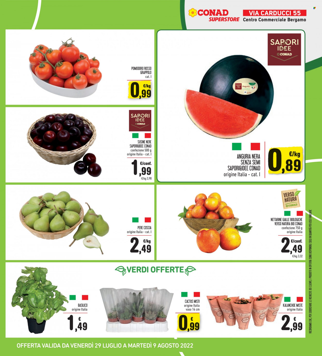 Volantino Conad - 29/7/2022 - 9/8/2022. Pagina 19