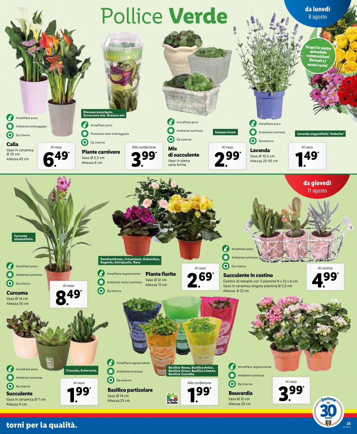 Volantino Lidl - 8/8/2022 - 14/8/2022. Pagina 25