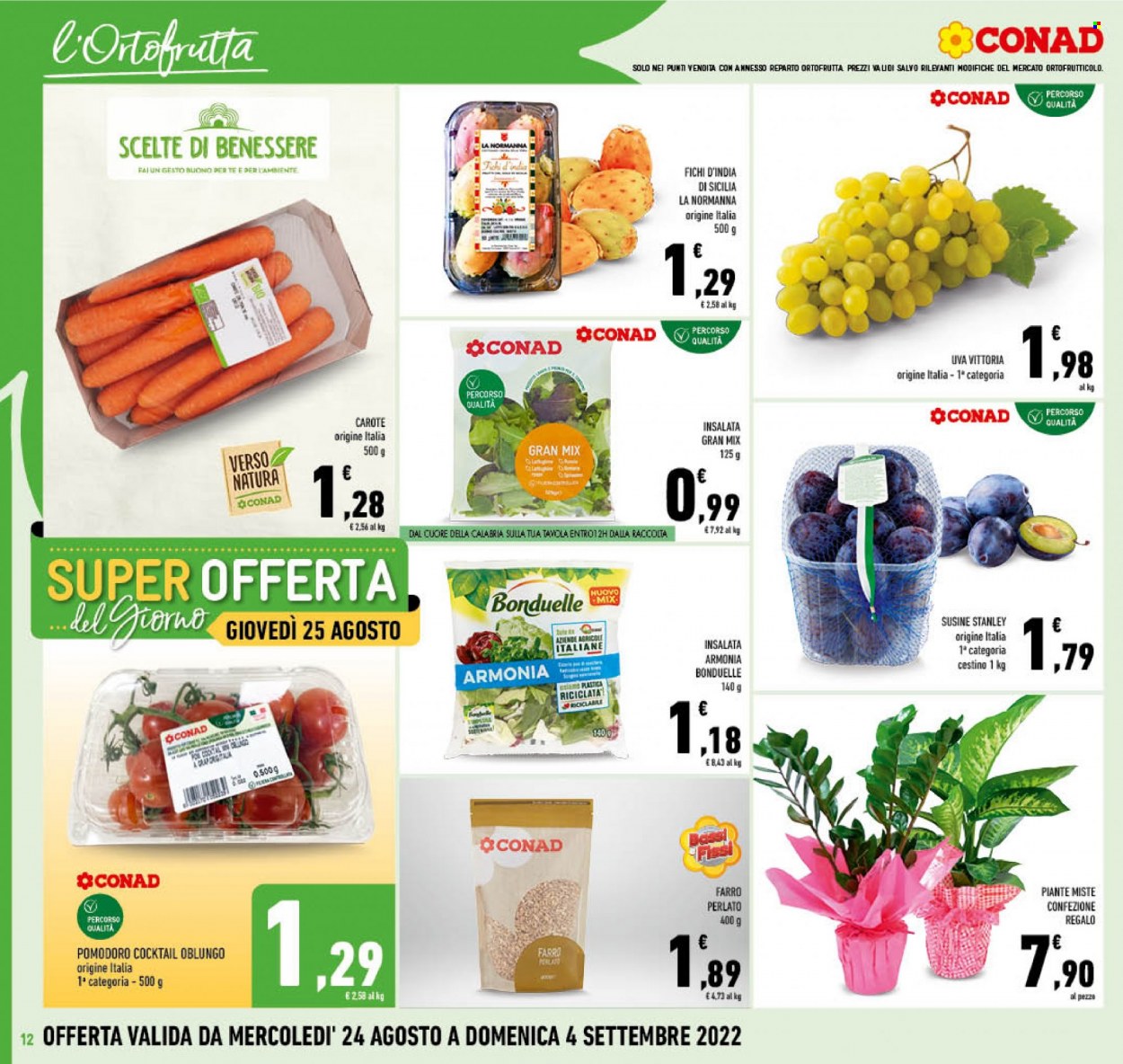 Leták Conad - 24.8.2022 - 4.9.2022. Strana 12