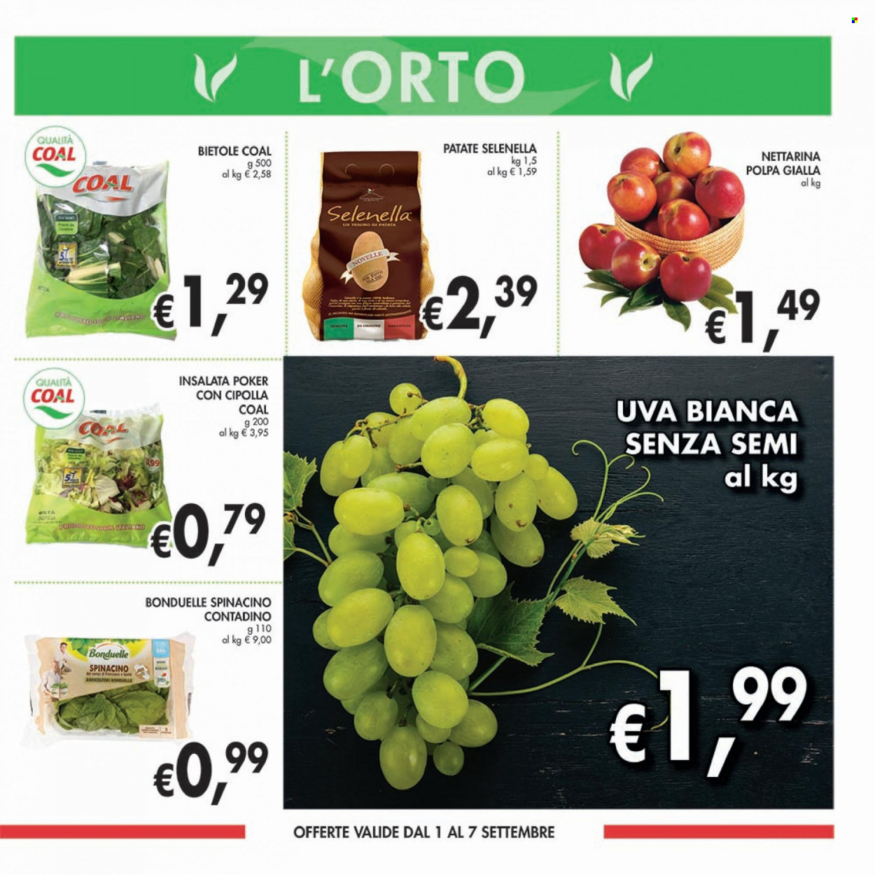 Volantino COAL - 25/8/2022 - 7/9/2022. Pagina 3