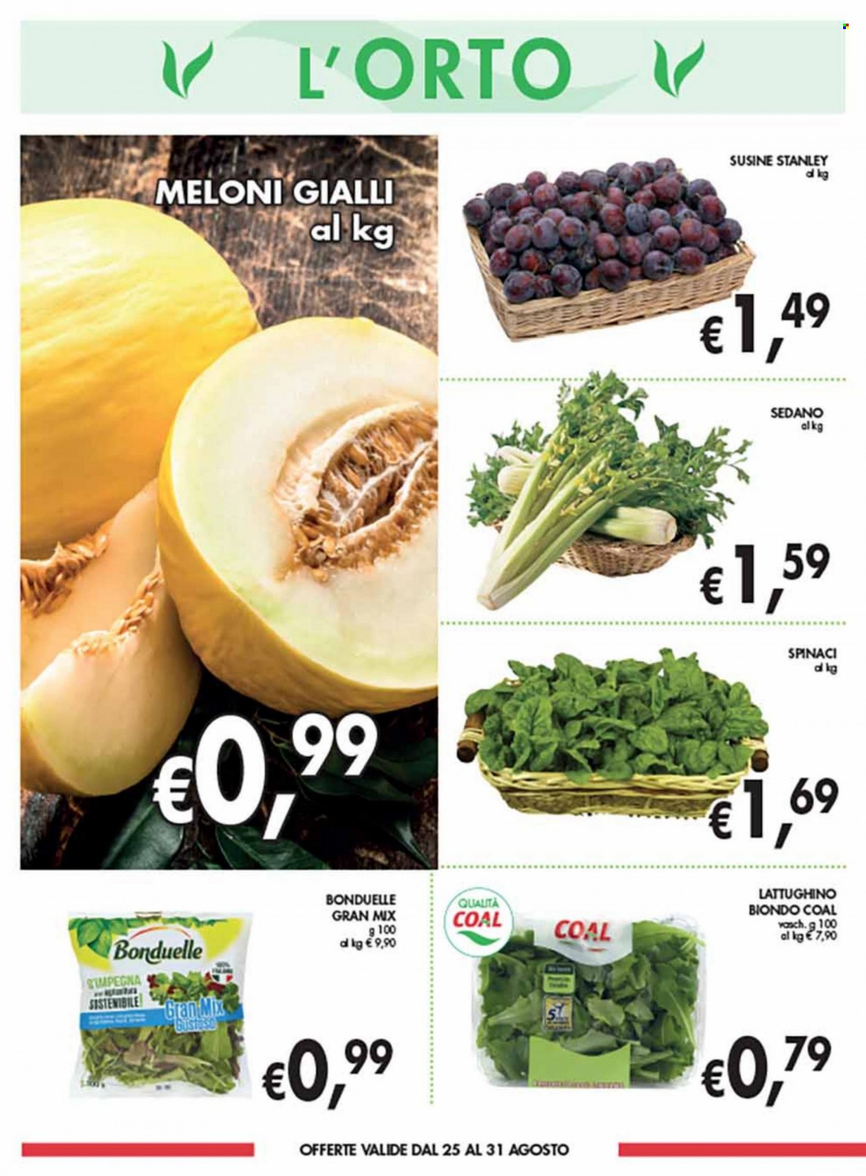 Volantino COAL - 25/8/2022 - 7/9/2022. Pagina 2
