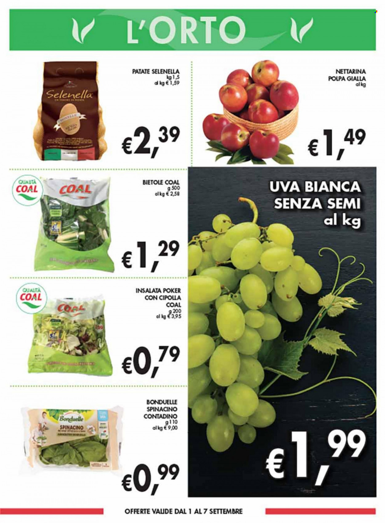 Volantino COAL - 25/8/2022 - 7/9/2022. Pagina 3