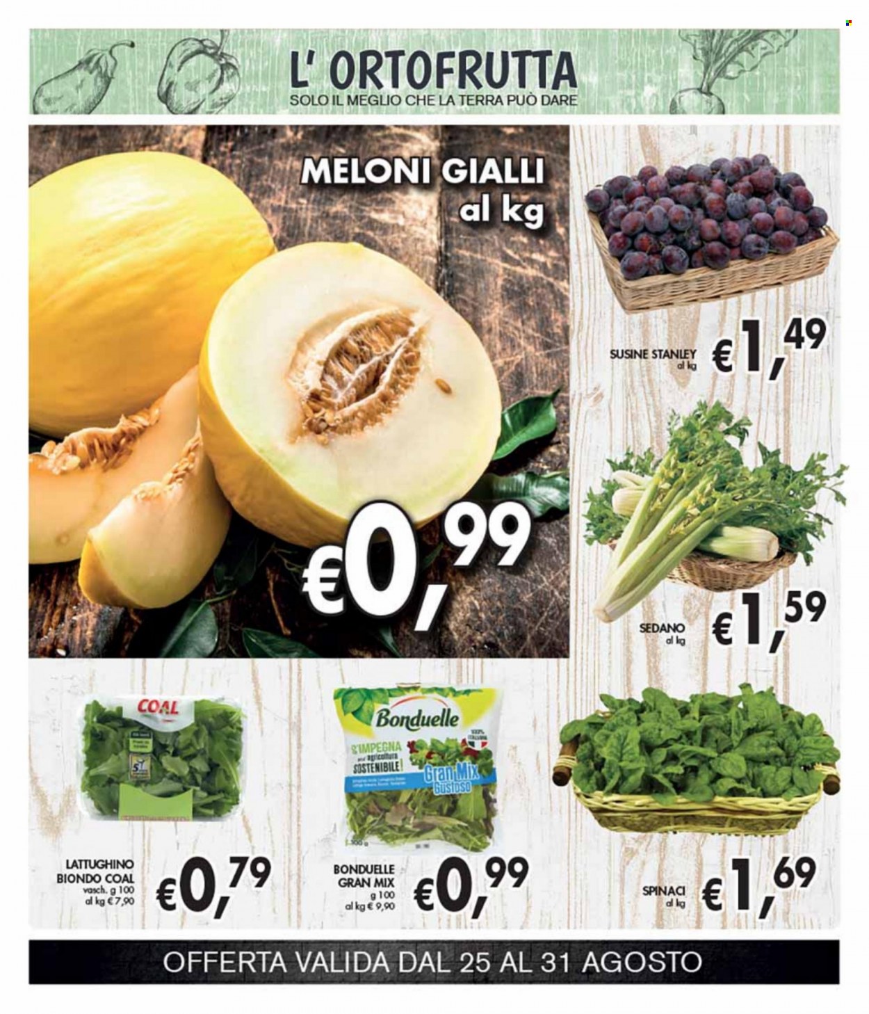 Volantino COAL - 25/8/2022 - 7/9/2022. Pagina 2